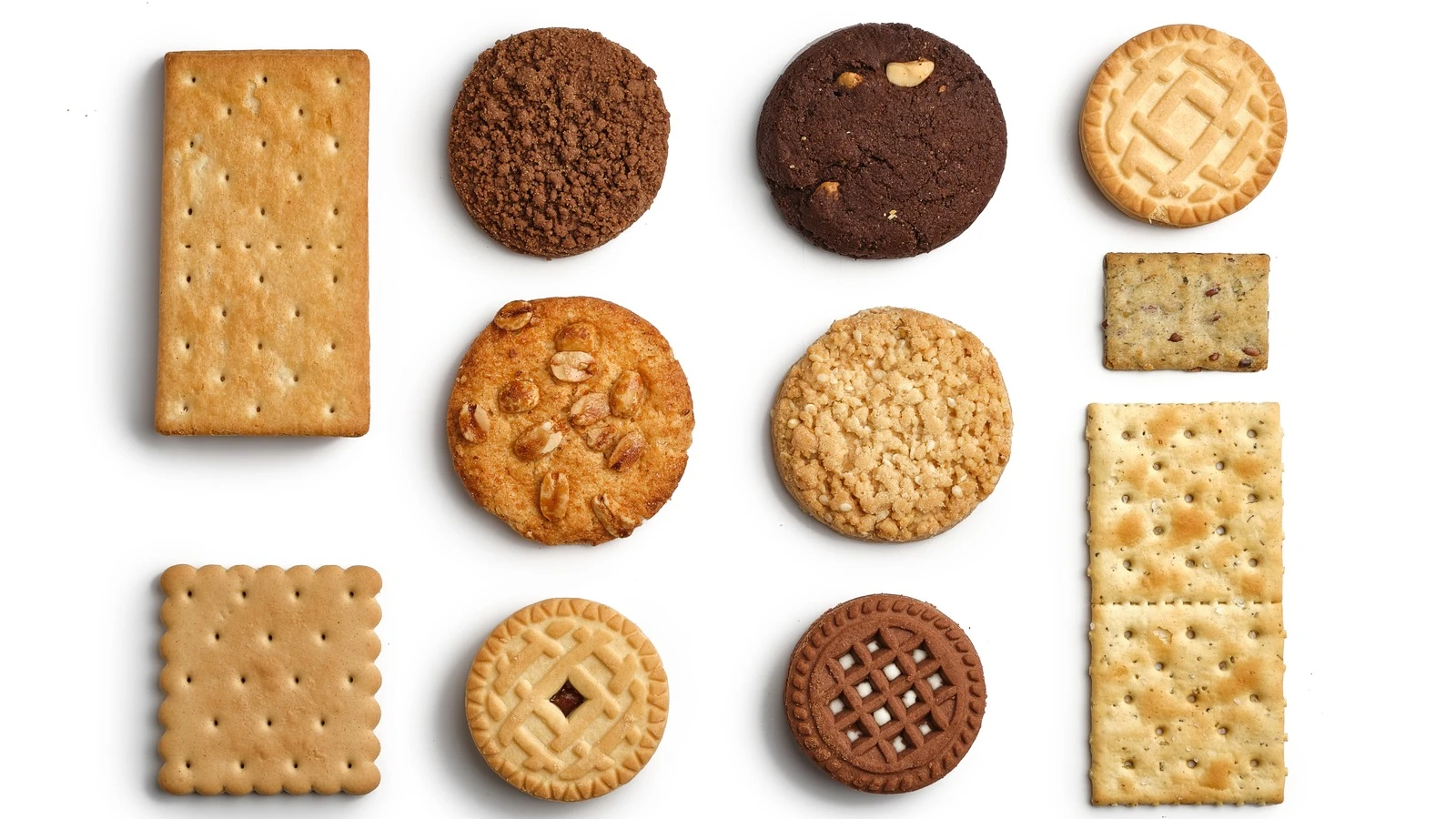 Biscuit